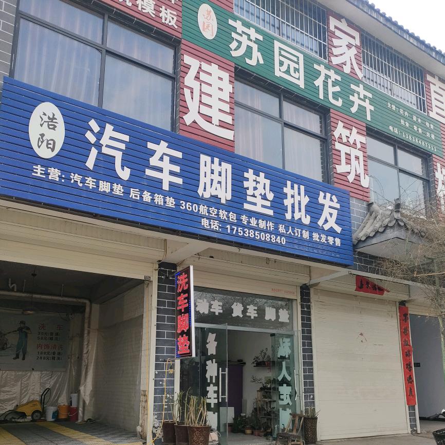 嵩县三桥浩阳汽车脚垫