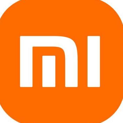 重生之我在小米之家打工