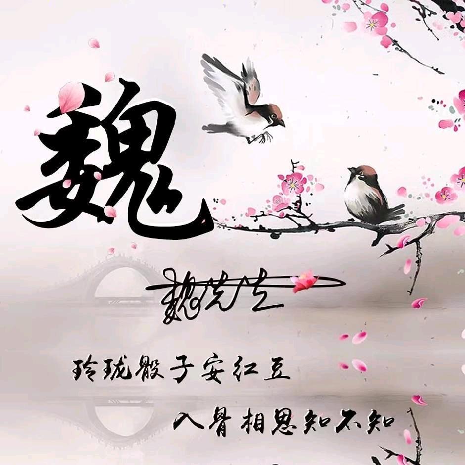 ღ᭄小鹤、爱淘宝ꦿ࿐