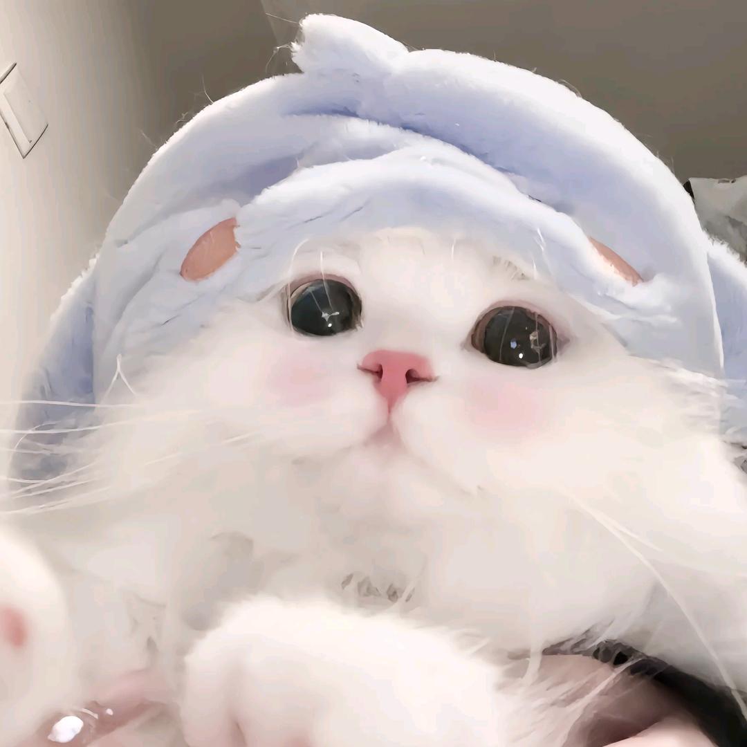🌈蟹七一