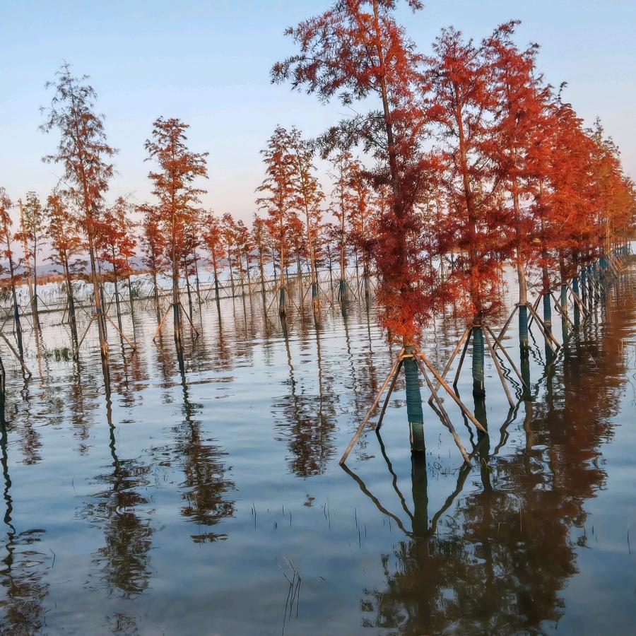 沧海艺术