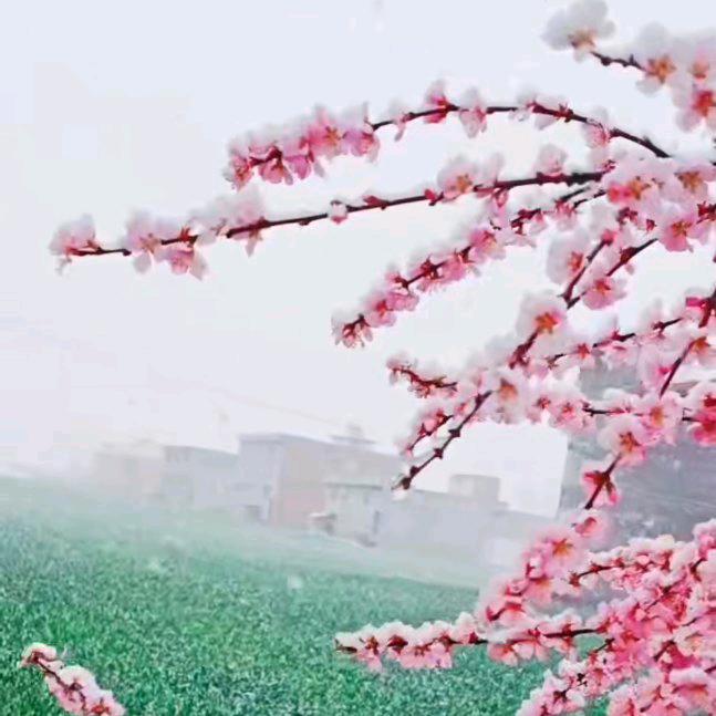 如意江南