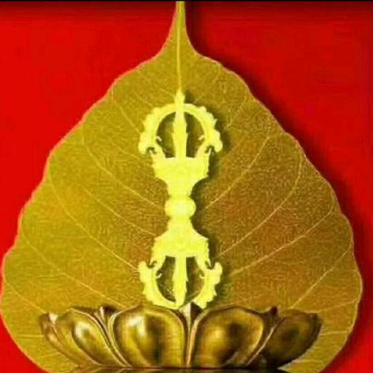 རྒྱ་མཚོ་💼