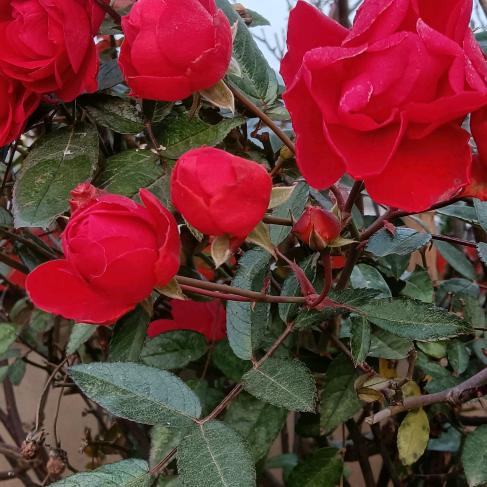 人生一辈子不容易。