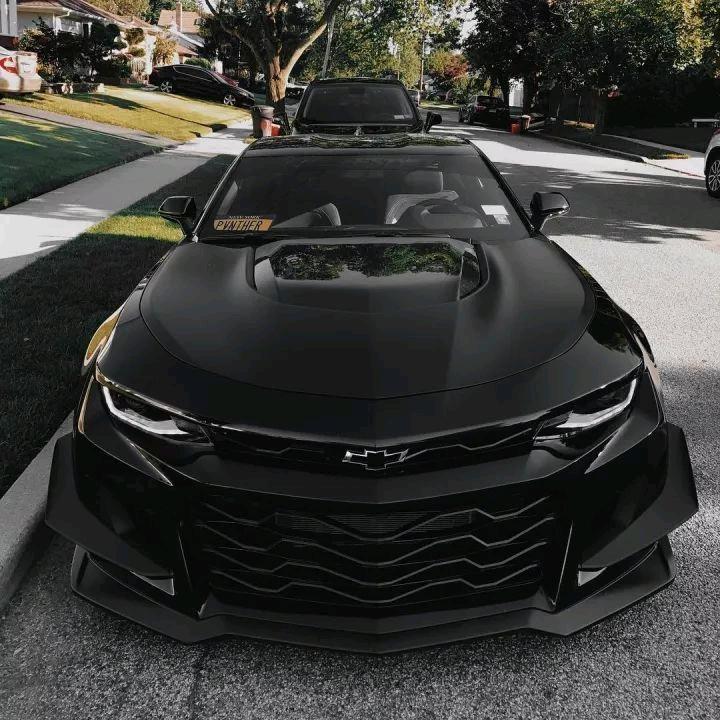 汽车专家999包提  （白黑都可）