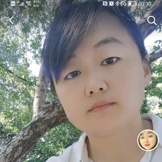 太阳花