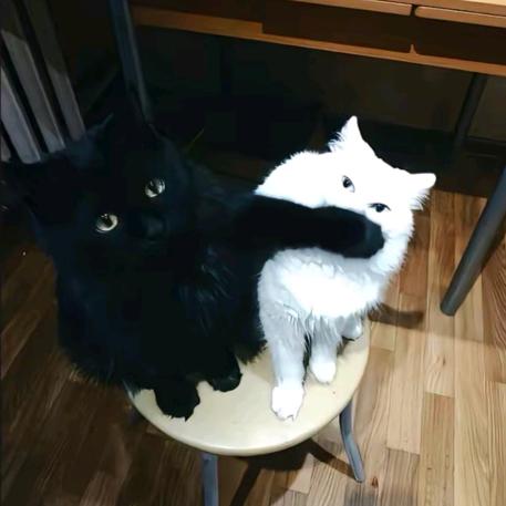 简