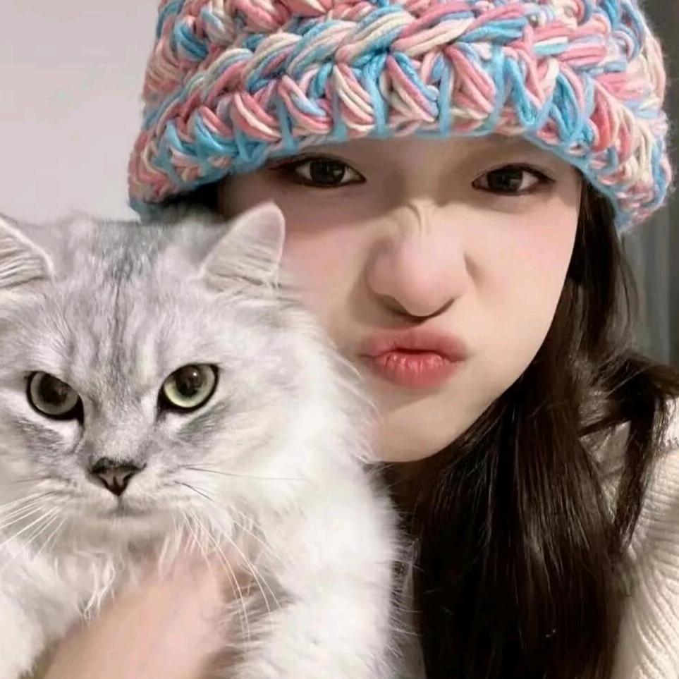 心碎小猫