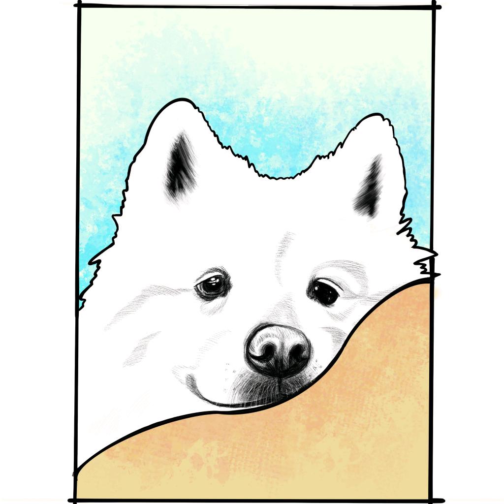 小云吞面