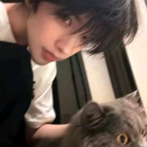 ᵕ᷄≀ ̠ᵕ᷅ 宁💔థ౪థ（别看我橱窗