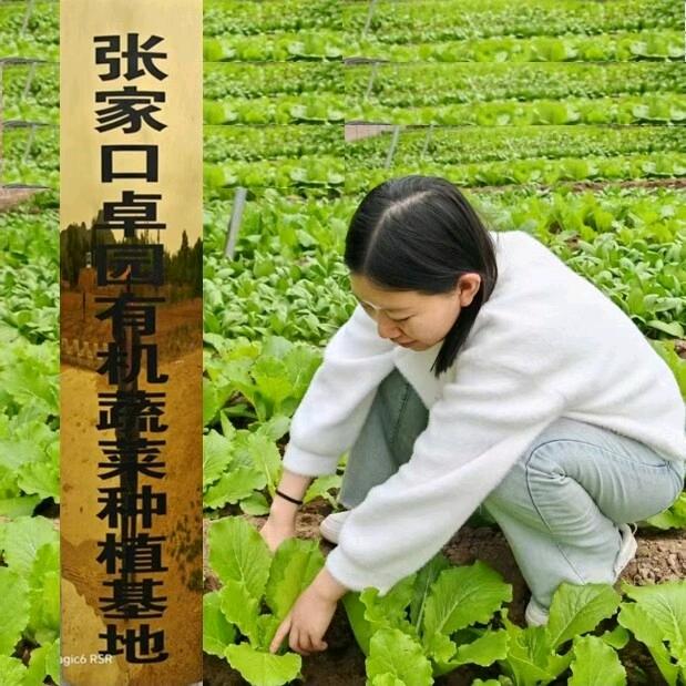 卓园生态有机农场