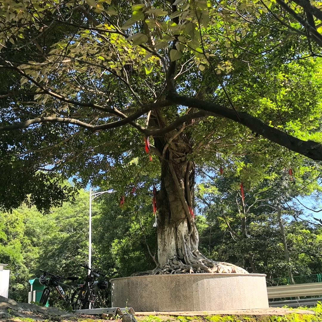 吉他的天空
