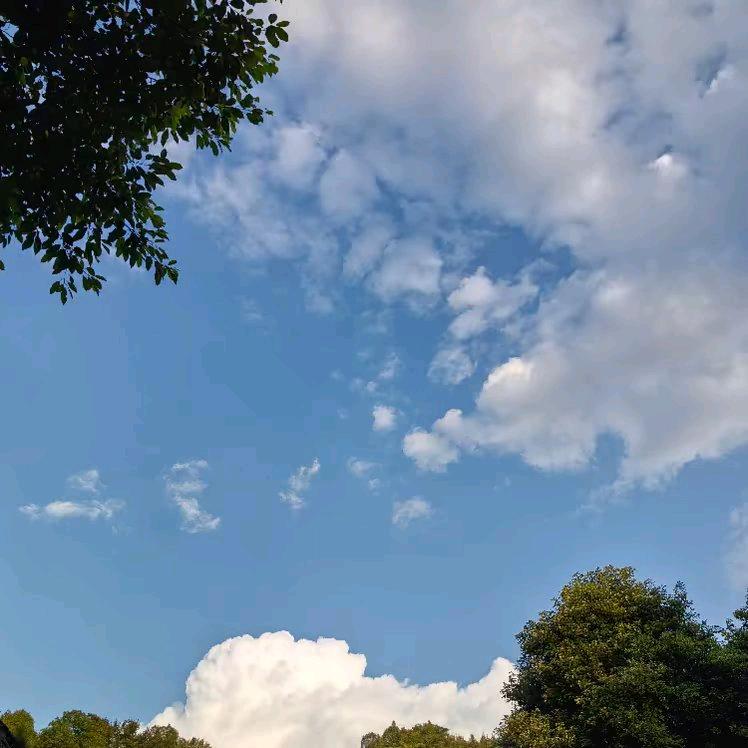 童燃星海！SerendiPity🌤