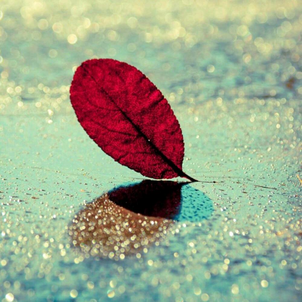 💞ღ不念᭄過往💞࿐