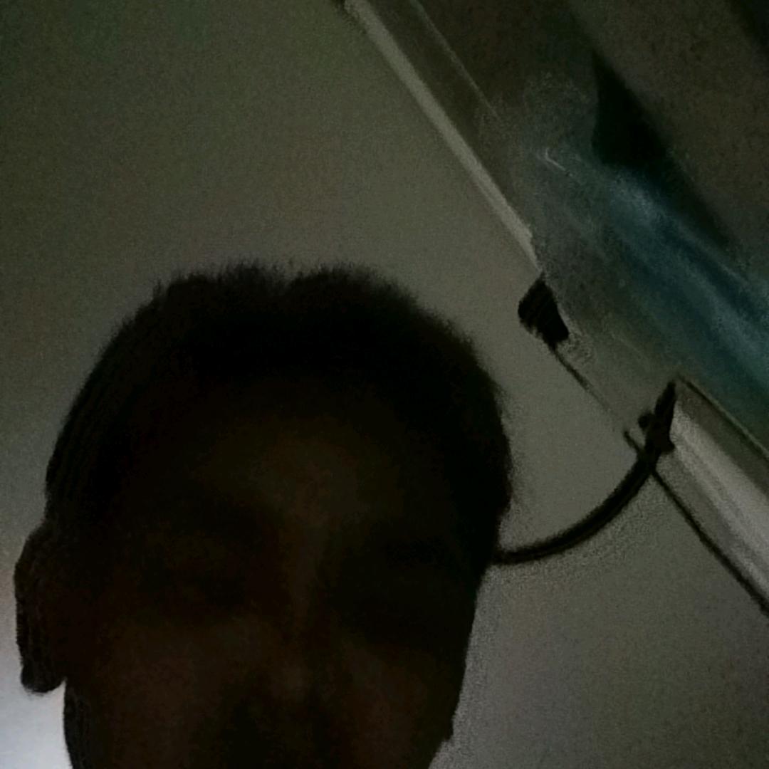 王莉