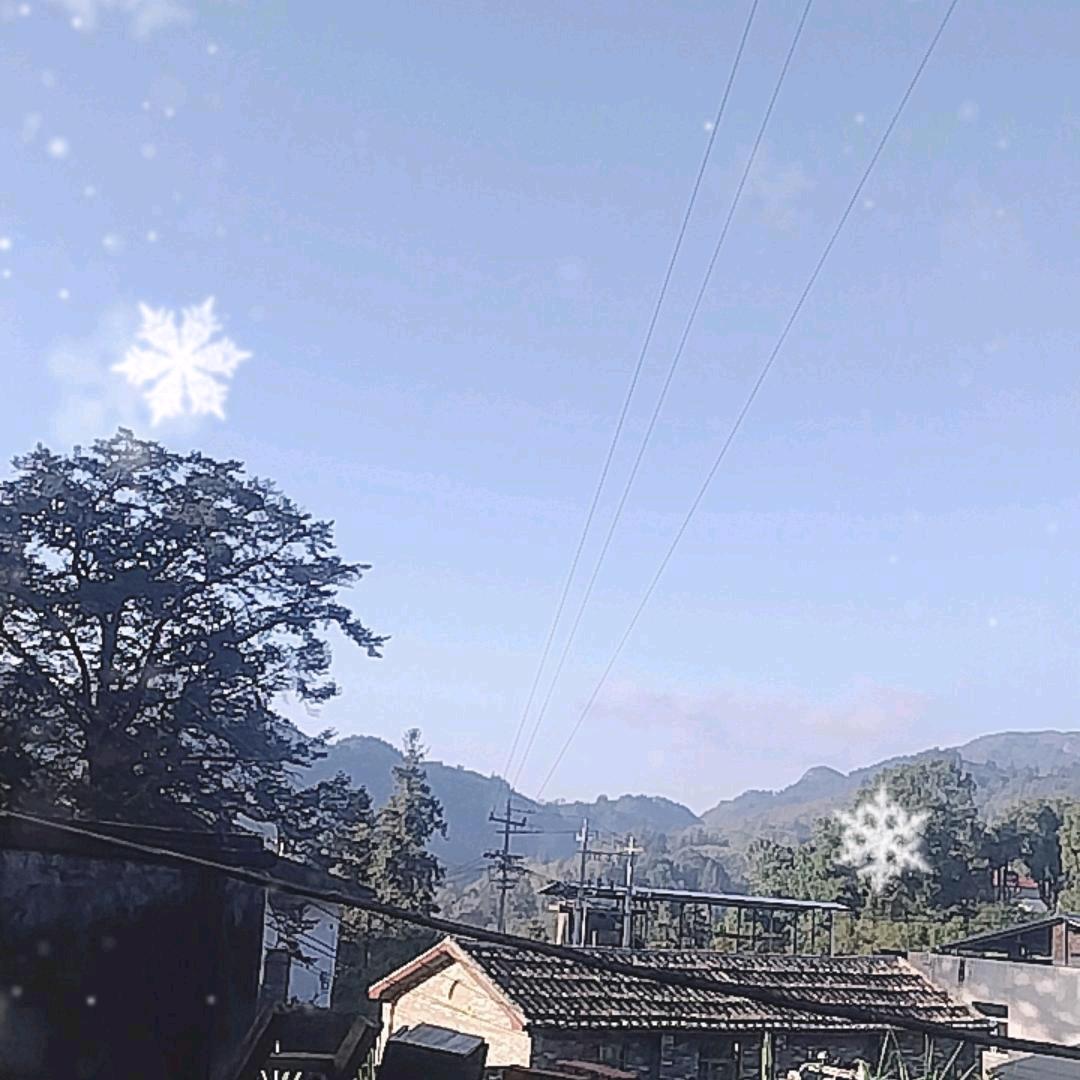 山里大伯