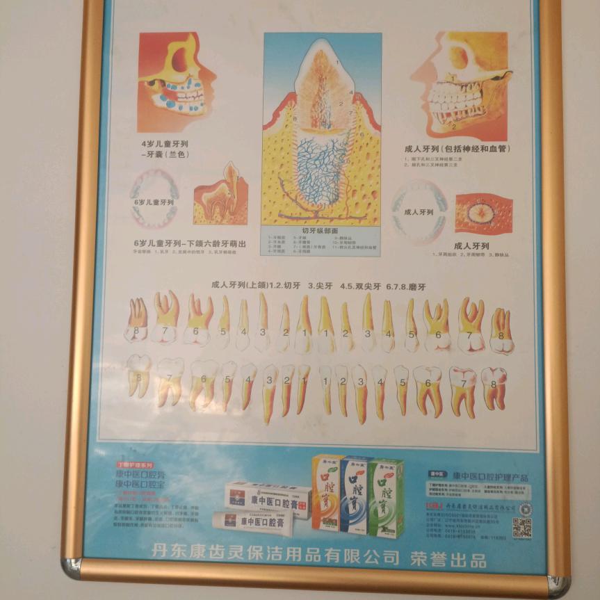 桑墟仲伟林