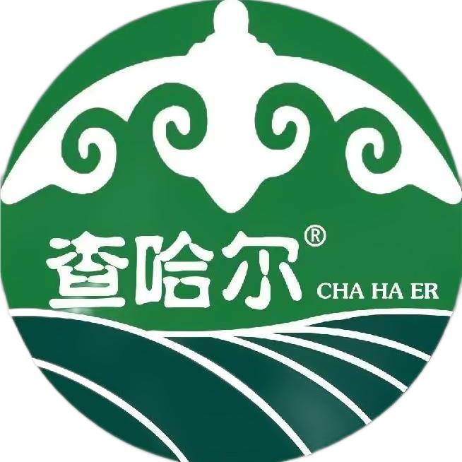 查哈尔