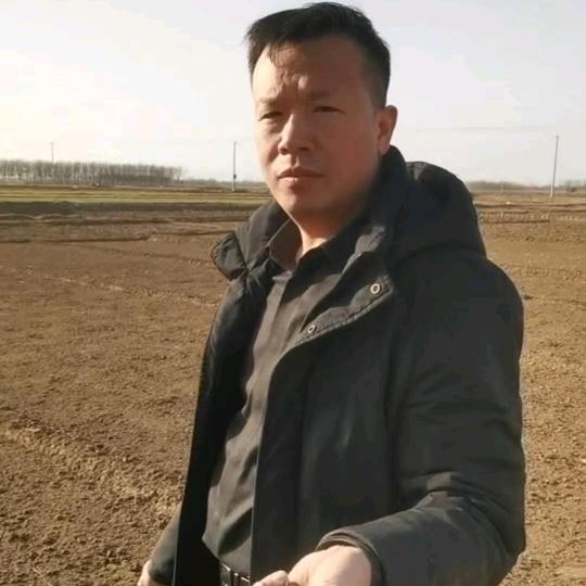 安国市海中农场《本草半夏》