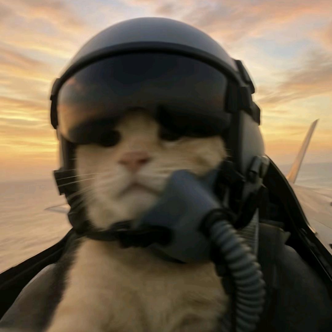 陈晓（三角洲行动）