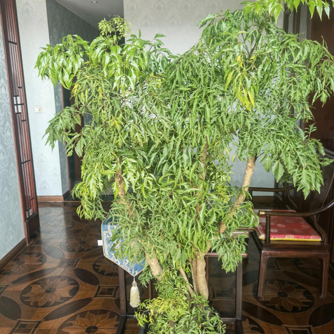 重新启航