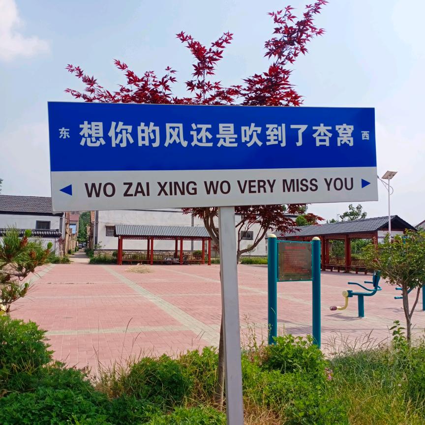 放下素质，享受缺德人生