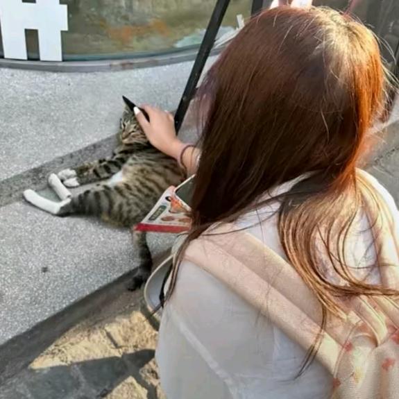 椰乳刘奶
