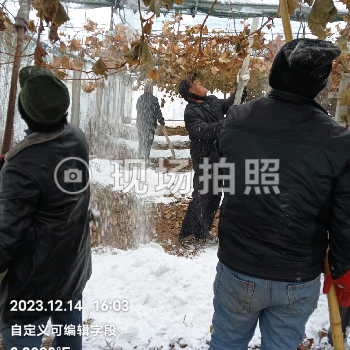 宋来英