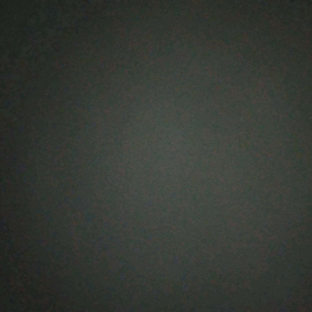 大宝子