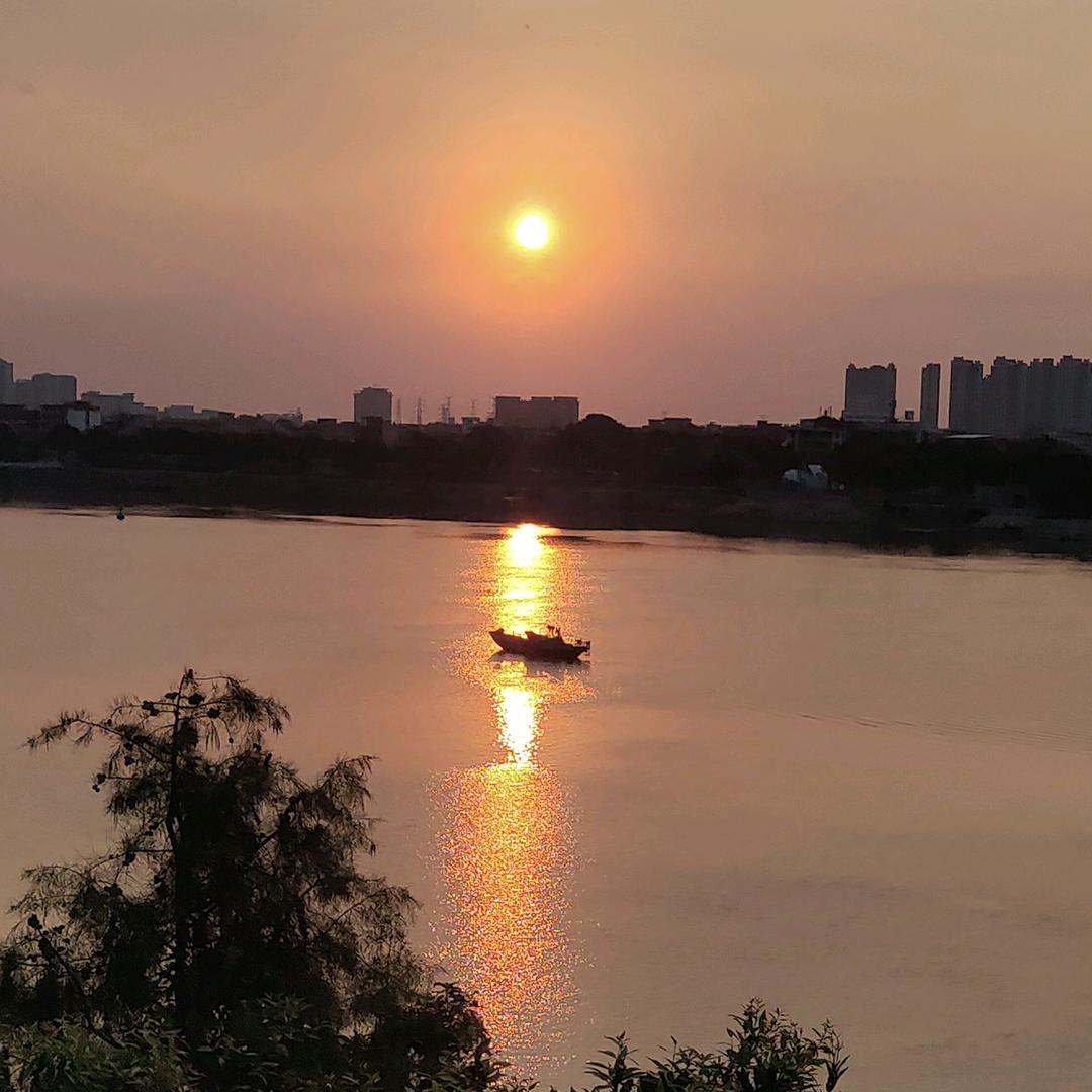 新发现