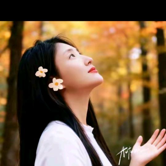 喜欢看着你