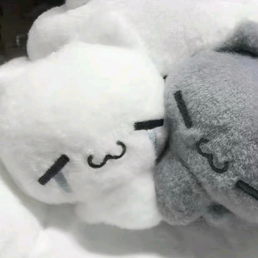 全网最讨厌英语的账号