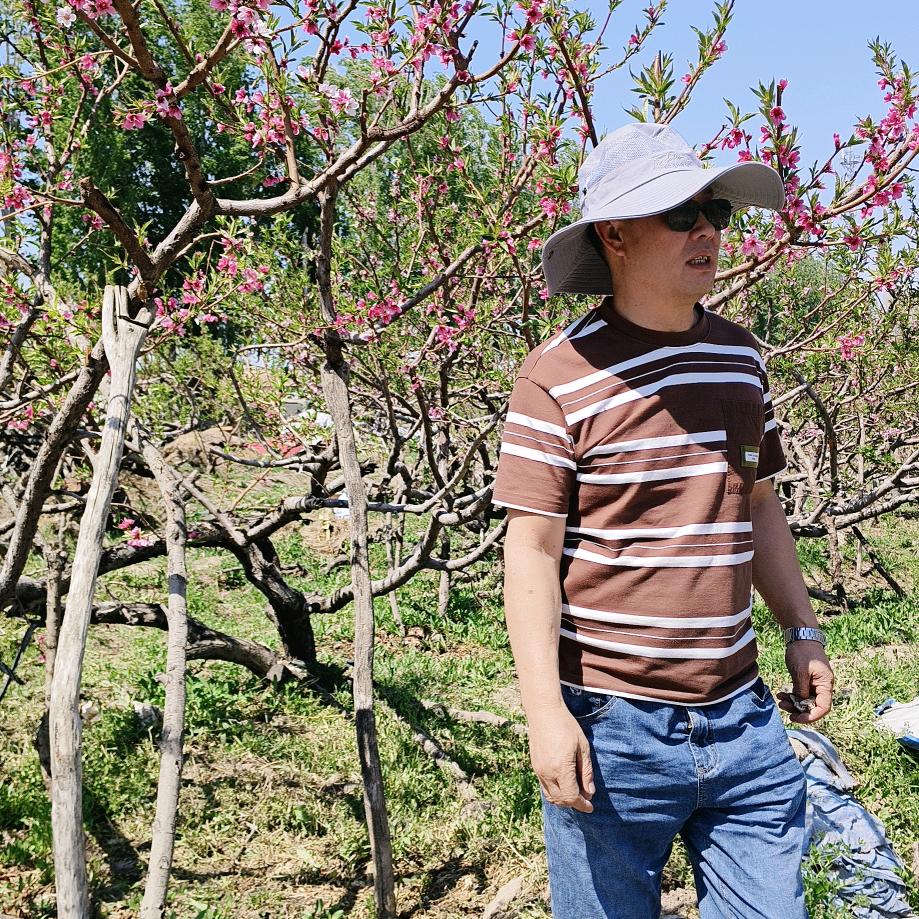 石河子南区益品香榨油坊