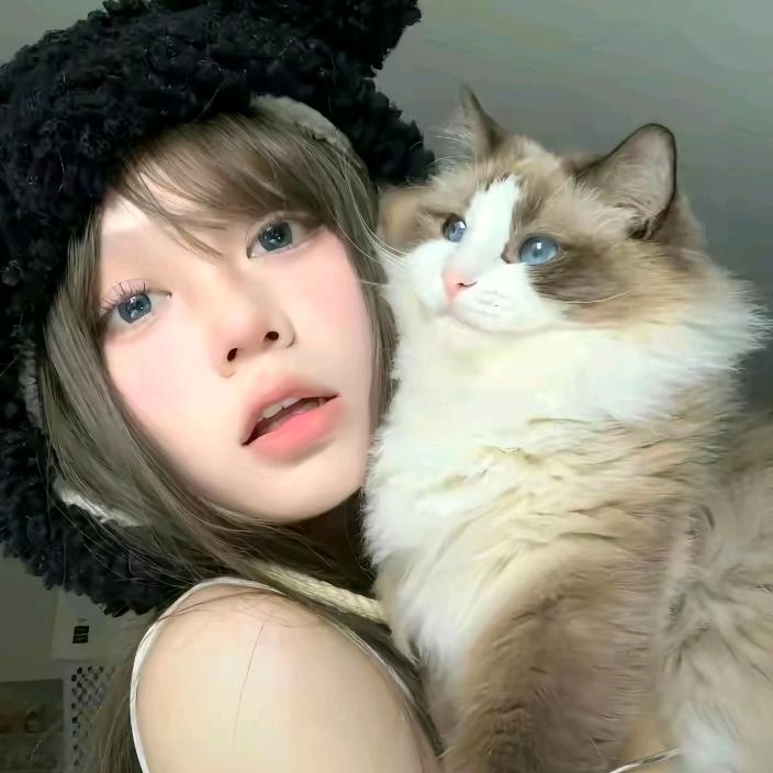 摆烂小鱼