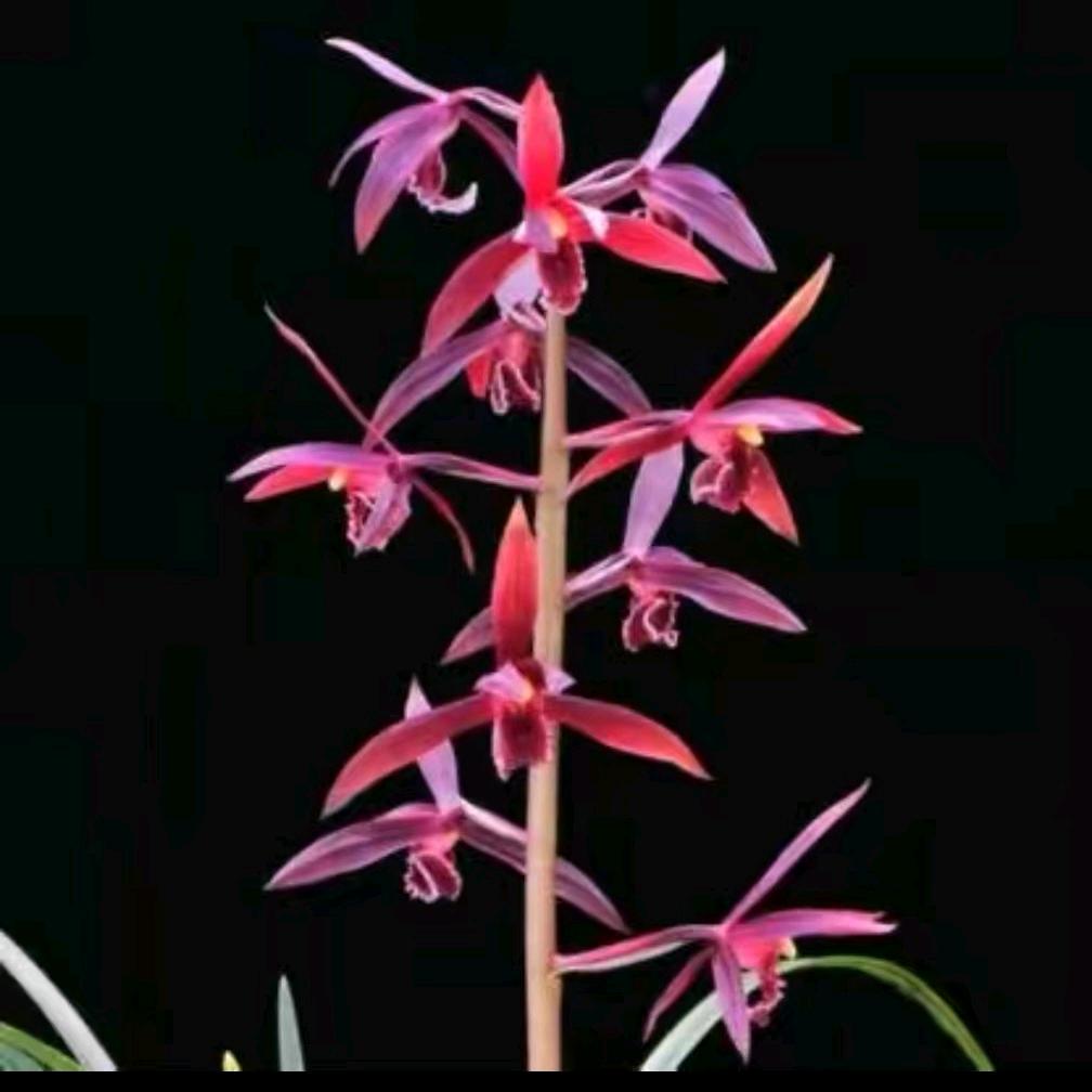 ✨开心快乐每一天