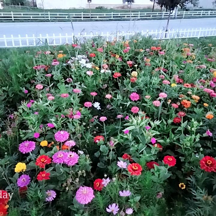 用户2150949619918