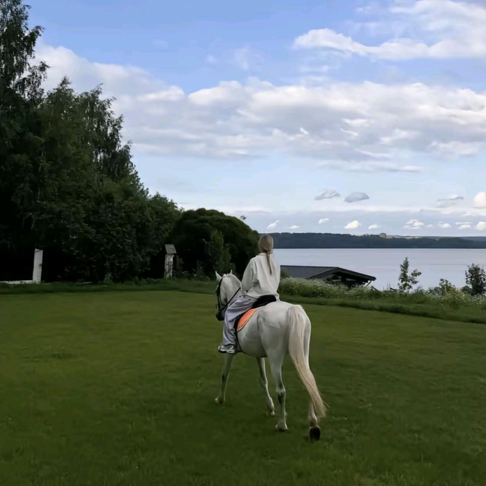 _小莹🐎.（骑马找我预约）