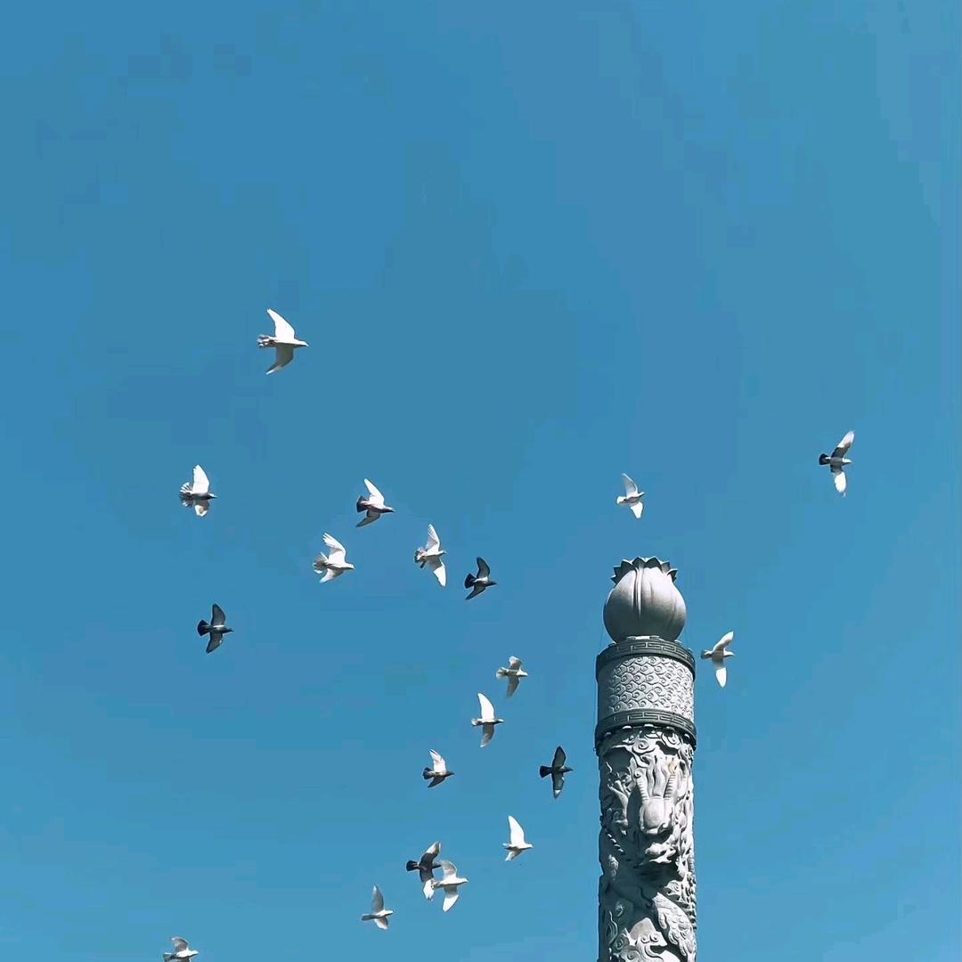 你说过，我记得…