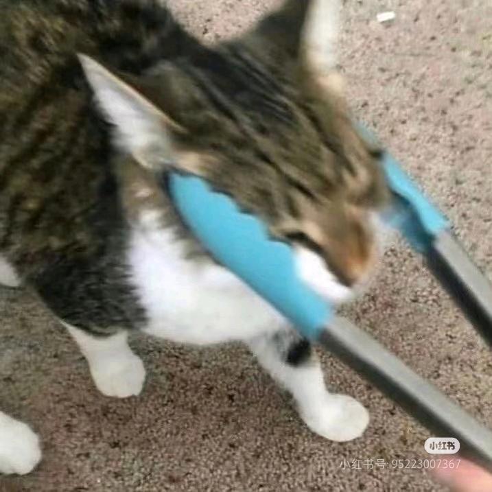 ᯠ  _   ̫  _ ̥ ᯄ ੭