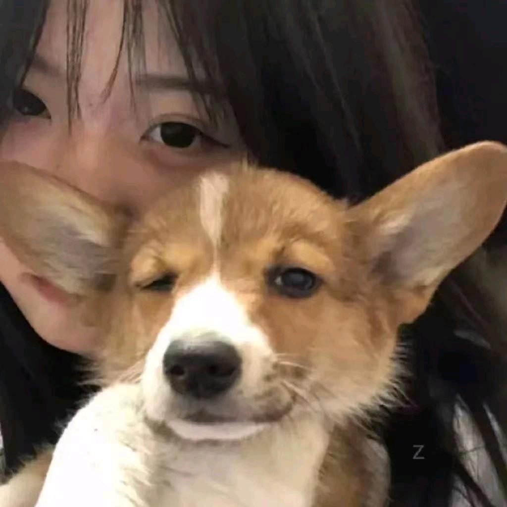 宇宙访客