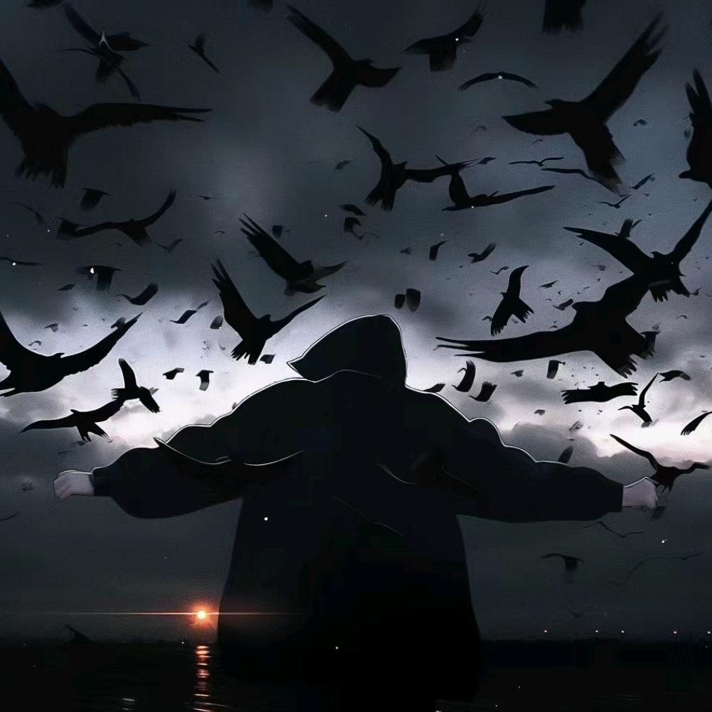 大V（桌面美化）