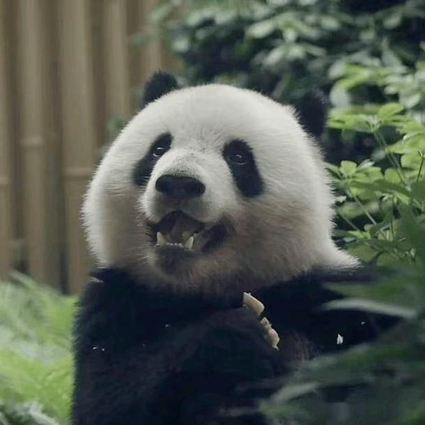 看抗日电影《得闲谨制》版😇