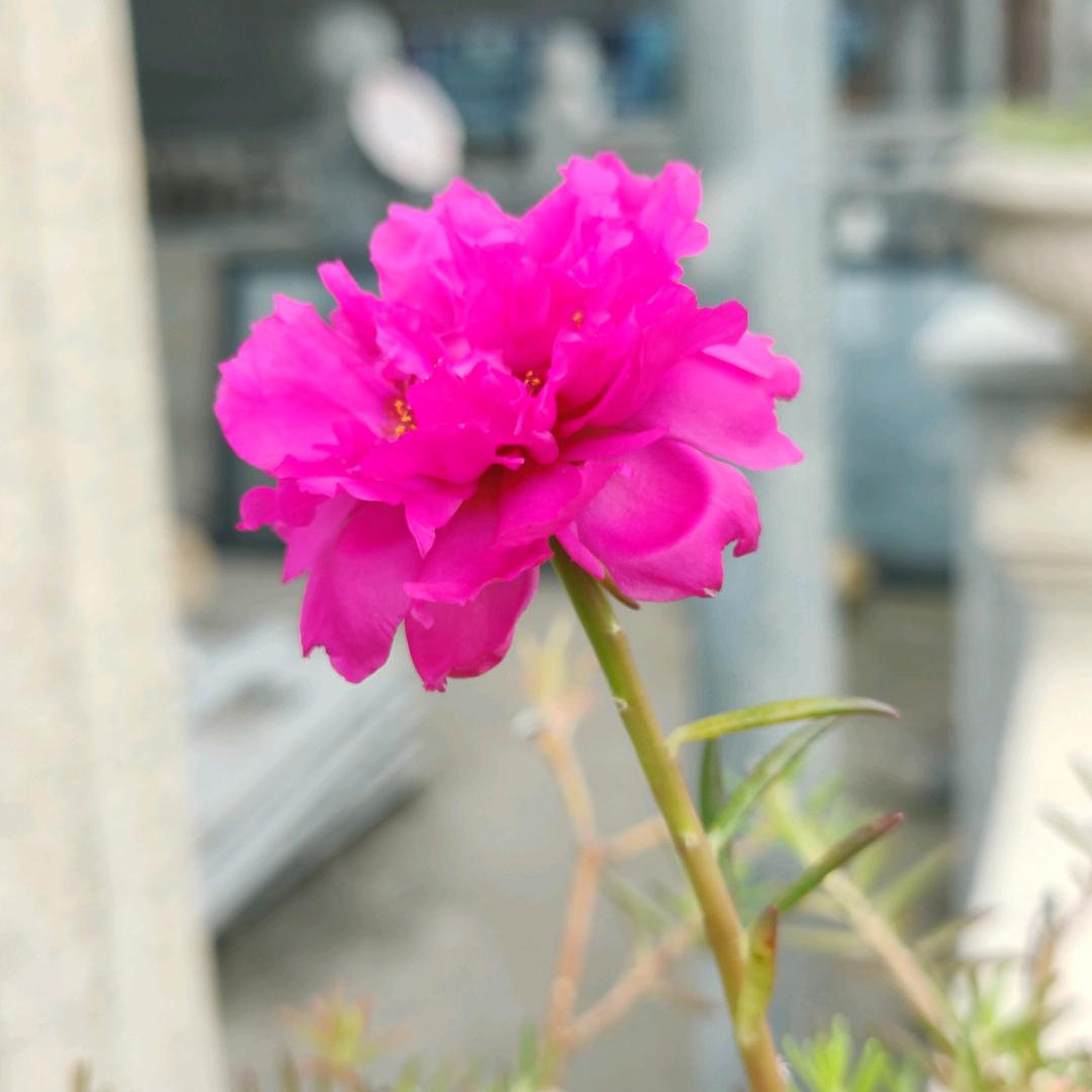 @遇见美好