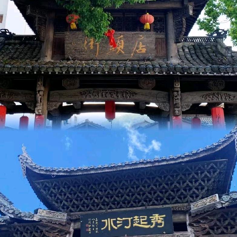 观哥
