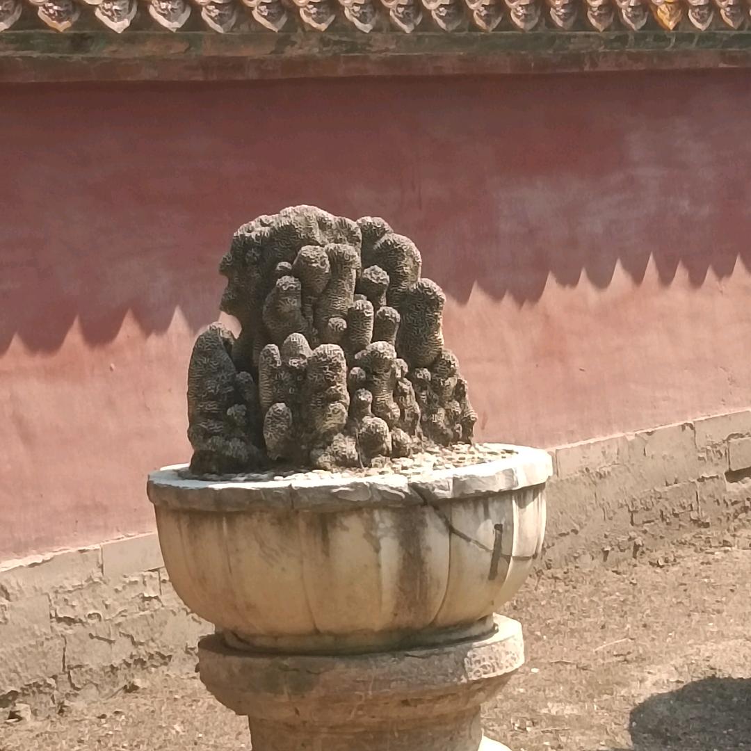 玚源工程