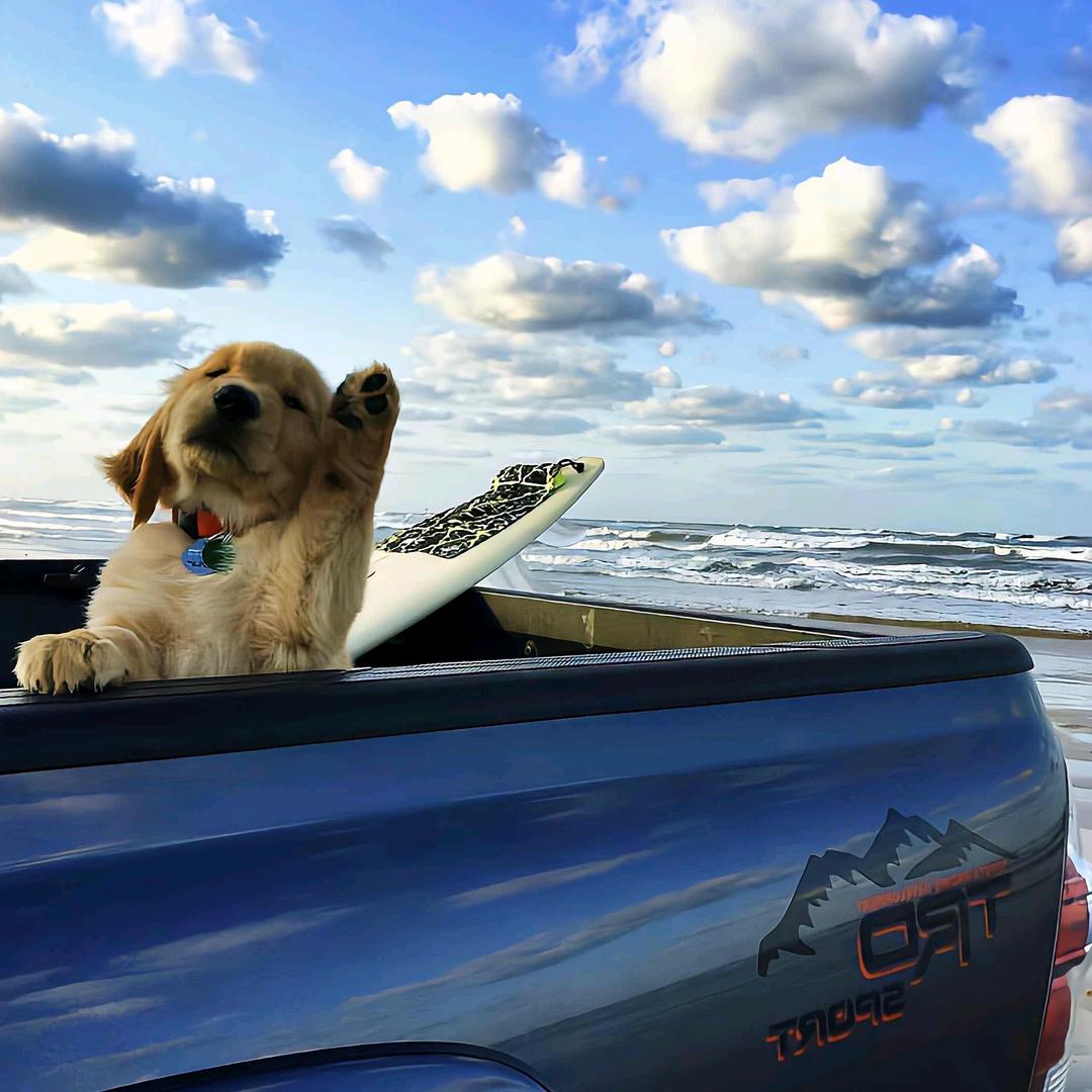 这个互联网别骂我