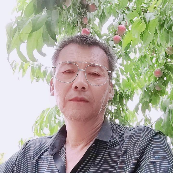 老刘水蜜桃采摘园