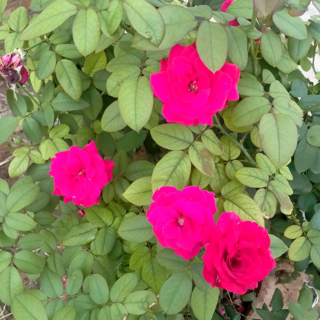 春暖花开