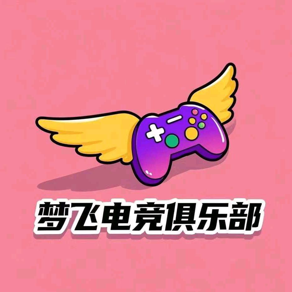 梦飞电竞（终极缺打手）