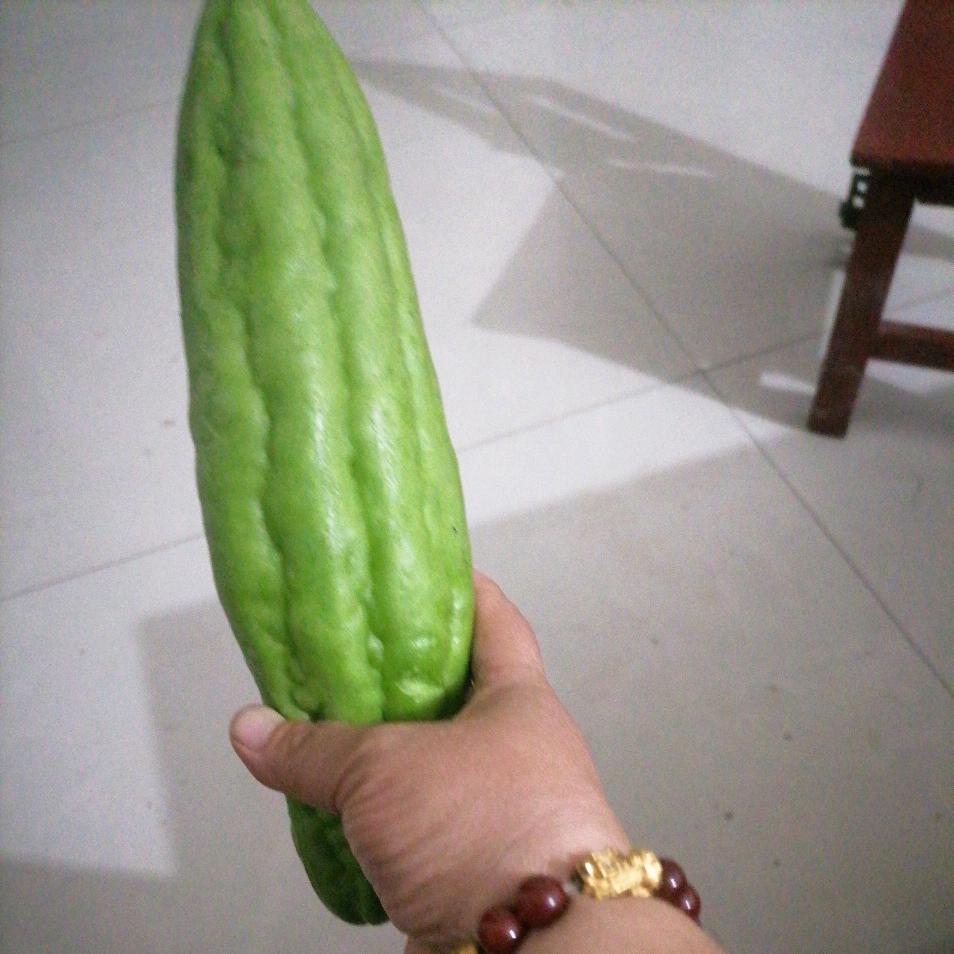我多想牵住妈的手
